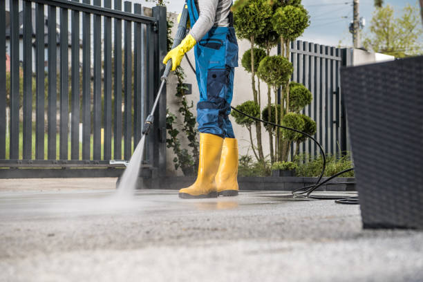 Best Patio and Deck Pressure Washing  in Arlington Heights, IL